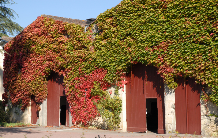 Château Lagnet