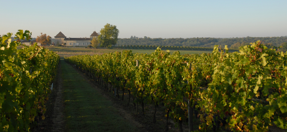 Château abatut